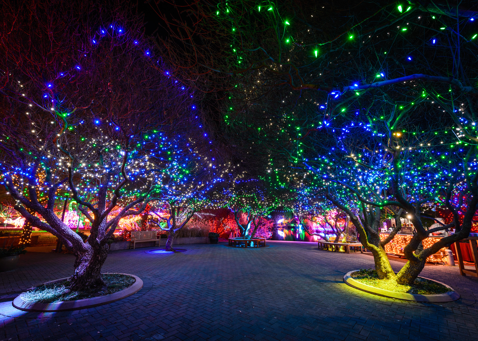 Top 5 Holiday Events in Albuquerque You Don't Want to Miss